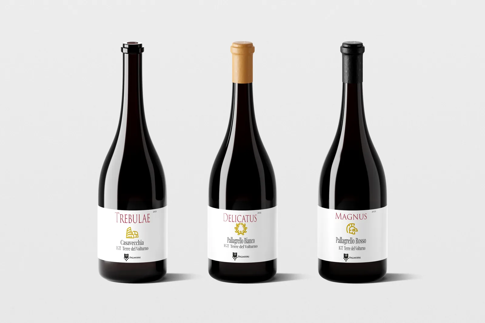 Etichette e bottiglie della cantina Palmieri Vini con il logo in evidenza, progetto di brand identity di Studio Ampolla a Campobasso